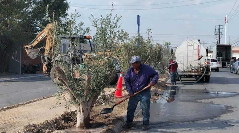Mejora y embellece Gobierno de Carlos Peña Ortiz las instalaciones urbanas