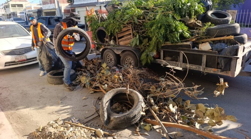 Continúa hoy lunes Jornada de Limpieza Imparable en La Cañada