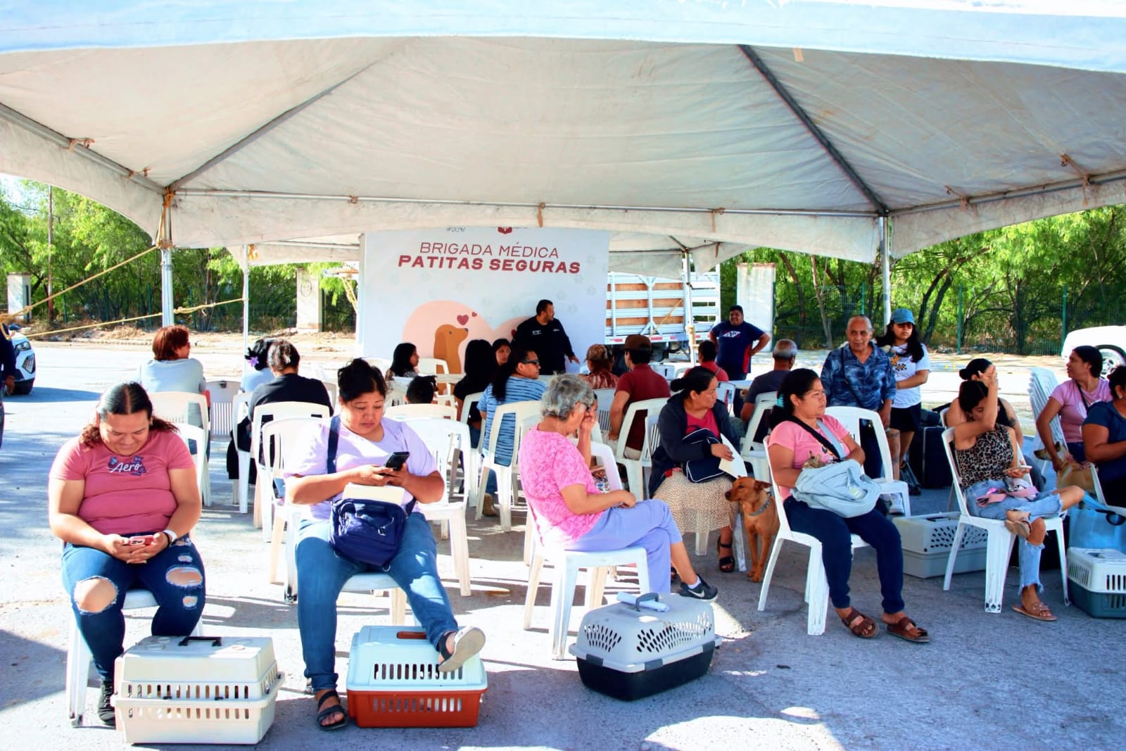 Trabaja Alcalde Carlos y me por una vida animal sana con la brigada «Patitas Seguras»