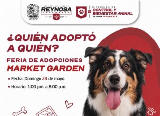 Invita el Presidente Carlos Peña Ortiz a la Feria de Adopciones hoy domingo 24 de mayo