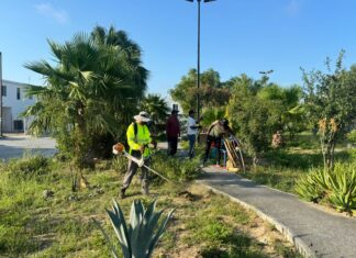 Incrementó Carlos Peña Ortiz el mantenimiento y rehabilitación de plazas públicas en Reynosa