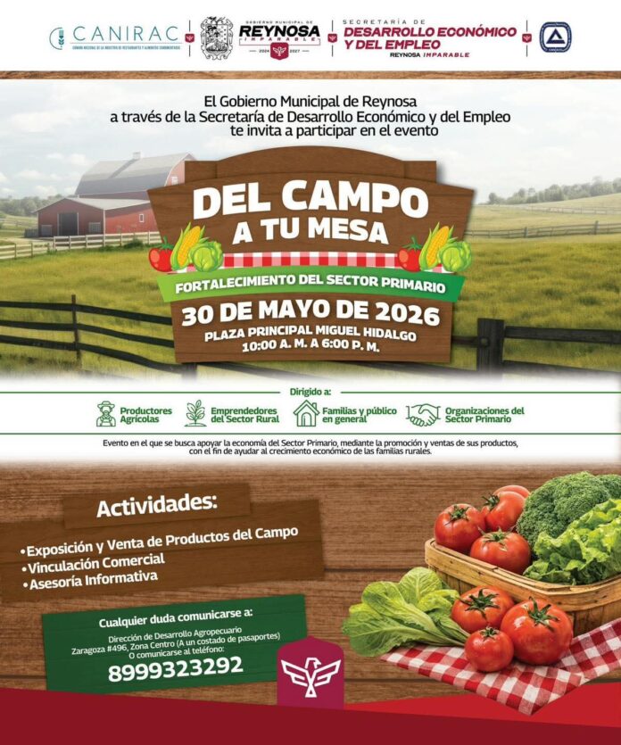 verduras