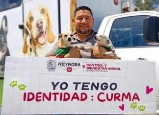 Promueve Gobierno de Carlos Peña Ortiz la identificación responsable de mascotas en Villa Esmeralda